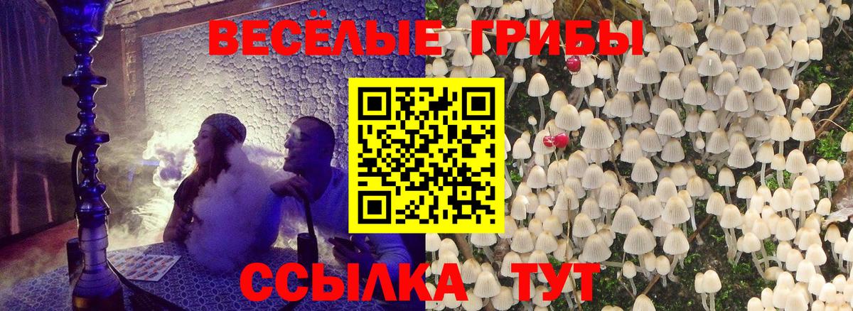 Павлово  Псилоцибиновые грибы Psilocybine cubensis  Вход с VPN 